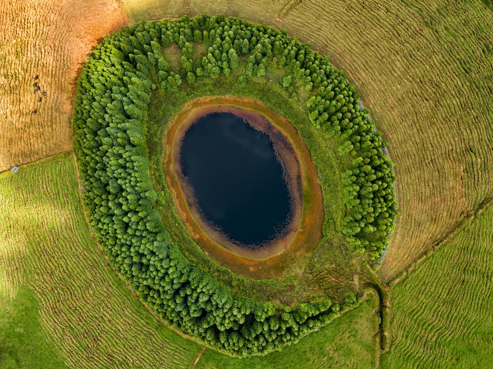 Aerial Forest Lake by Alvaro Roxo — canvas wall art