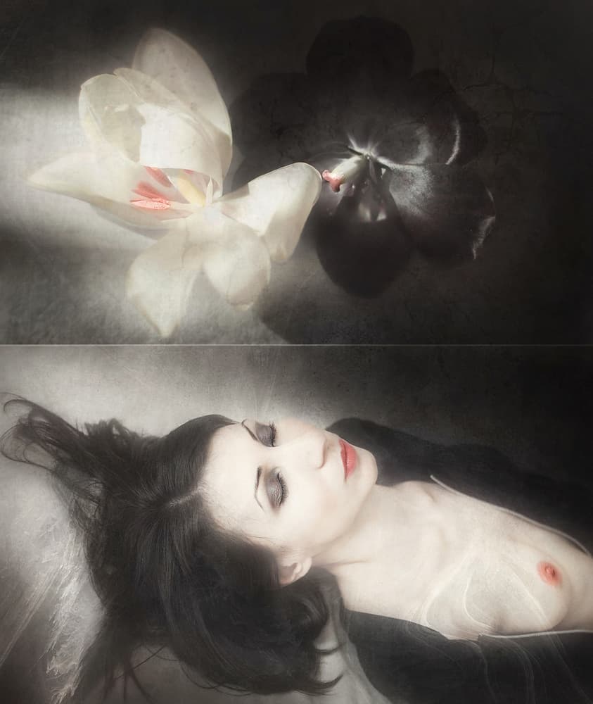 Dark Orchid Woman by Ivaylo and Teodora — canvas wall art