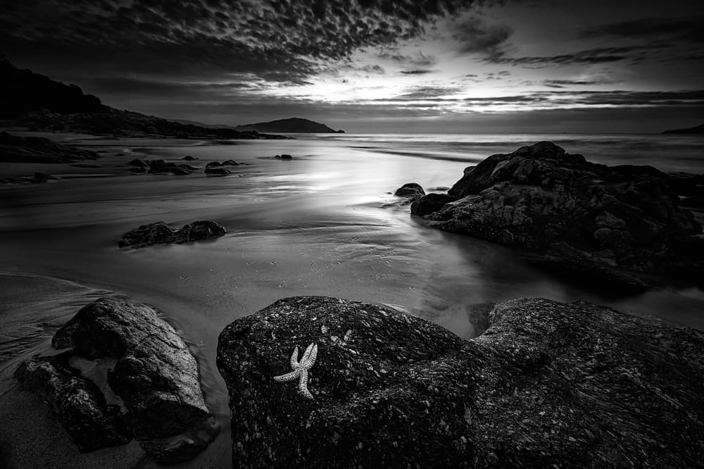 Starfish Beach Twilight by Santiago Pascual Buye — canvas wall art