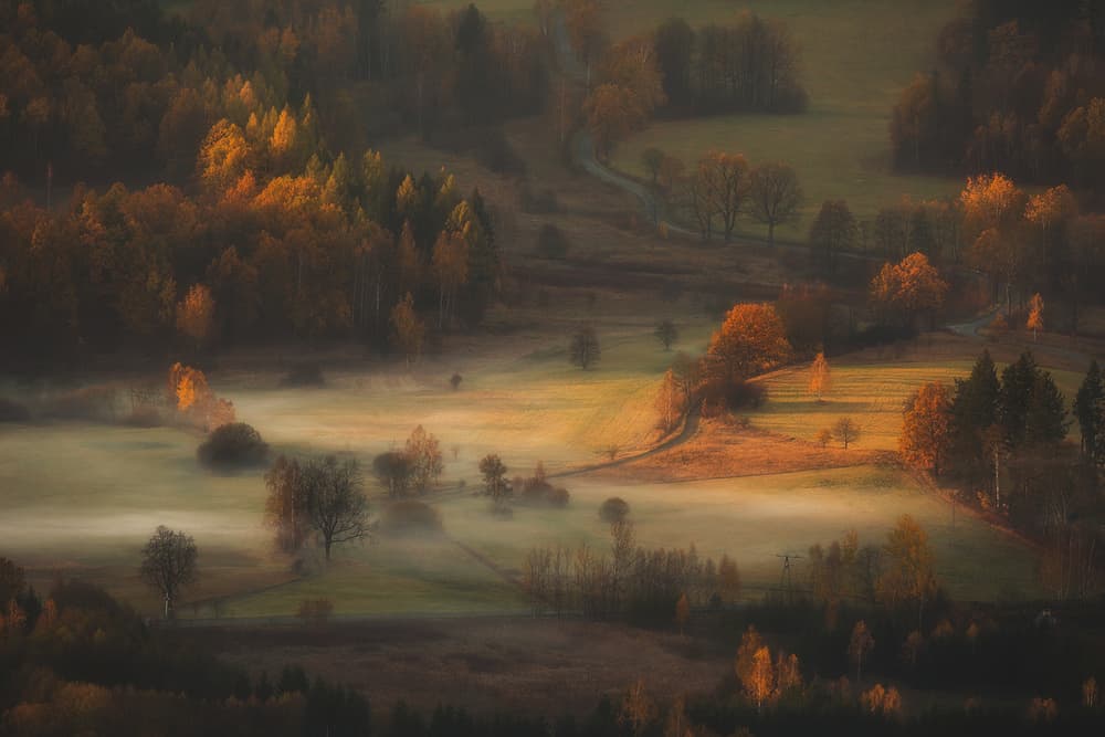 Golden Foggy Morning by Izabela Laszewska-Mitrega / Darek Mitręga — canvas wall art