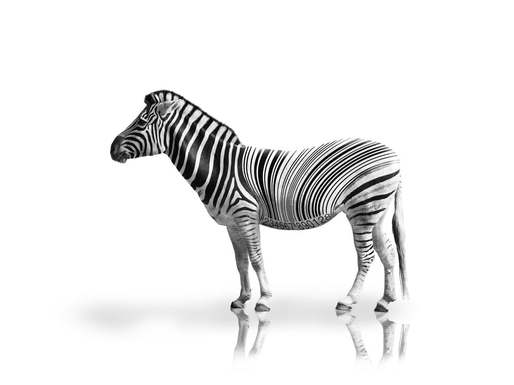 Modern Zebra Barcode by Marcus Hennen — canvas wall art