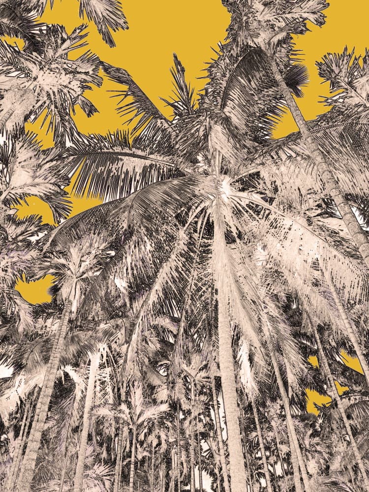 Golden Sky Palm Trees by Santhosh ch — canvas wall art
