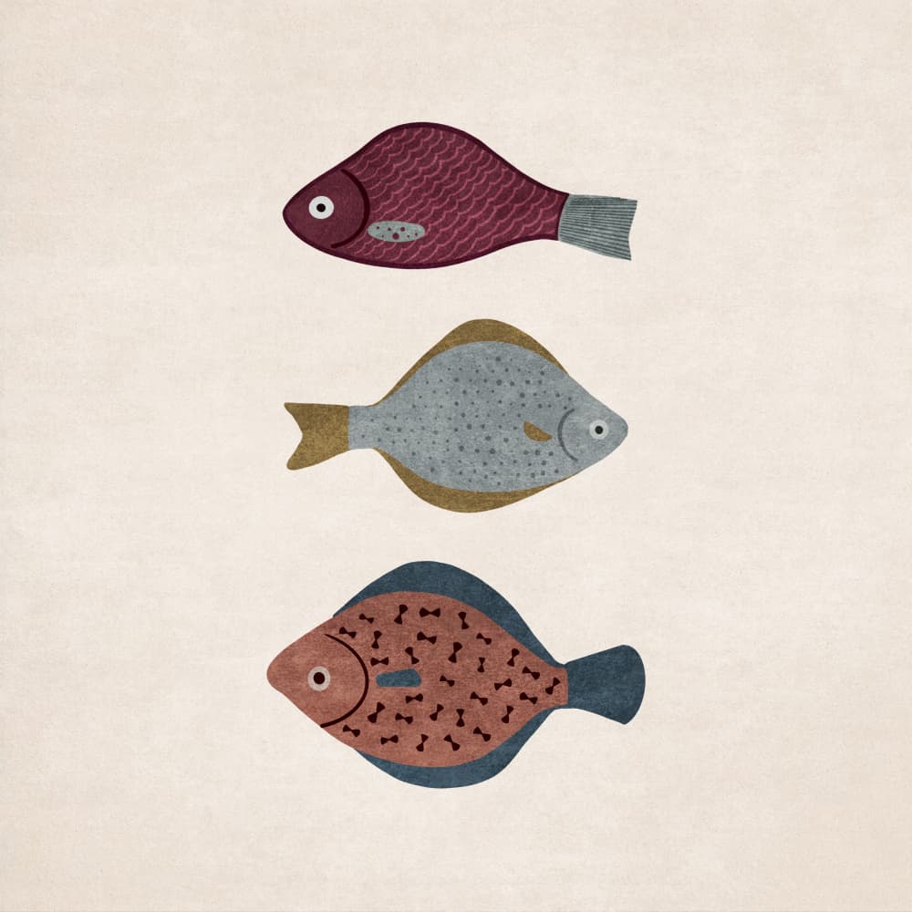 Trio of Fish Forms by Emel Tunaboylu — canvas wall art