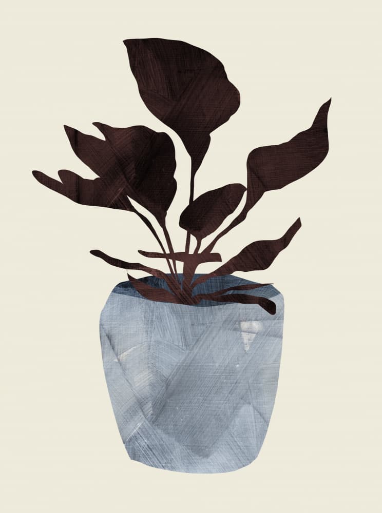 Country Plant by Dan Hobday — canvas wall art