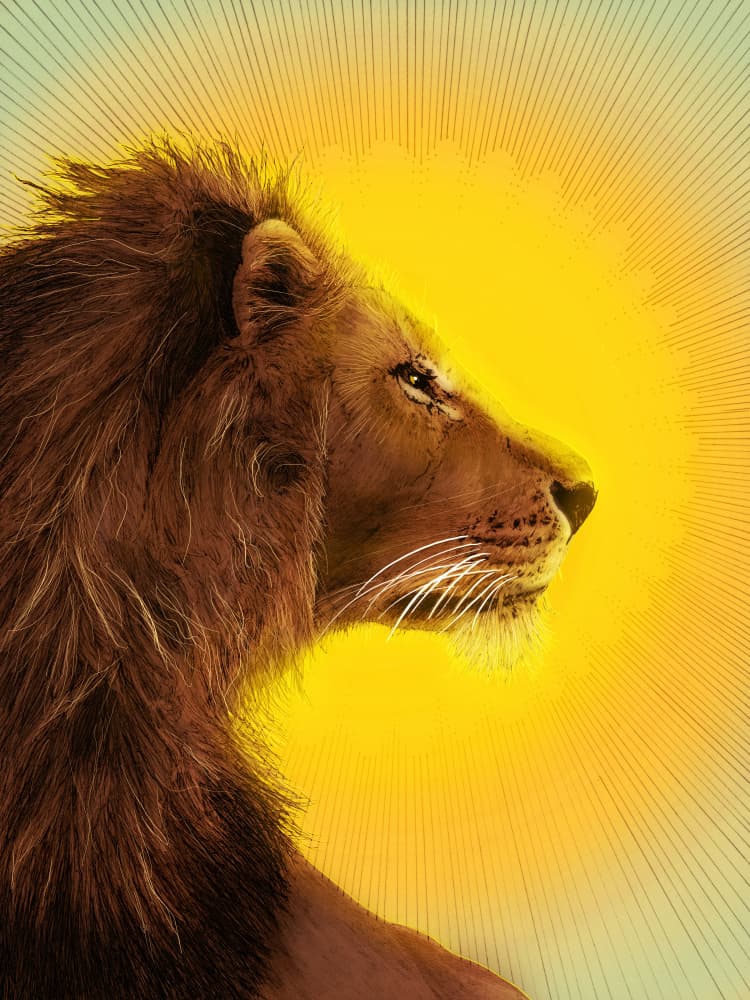 Majestic Golden Lion by EC Mazur — canvas wall art