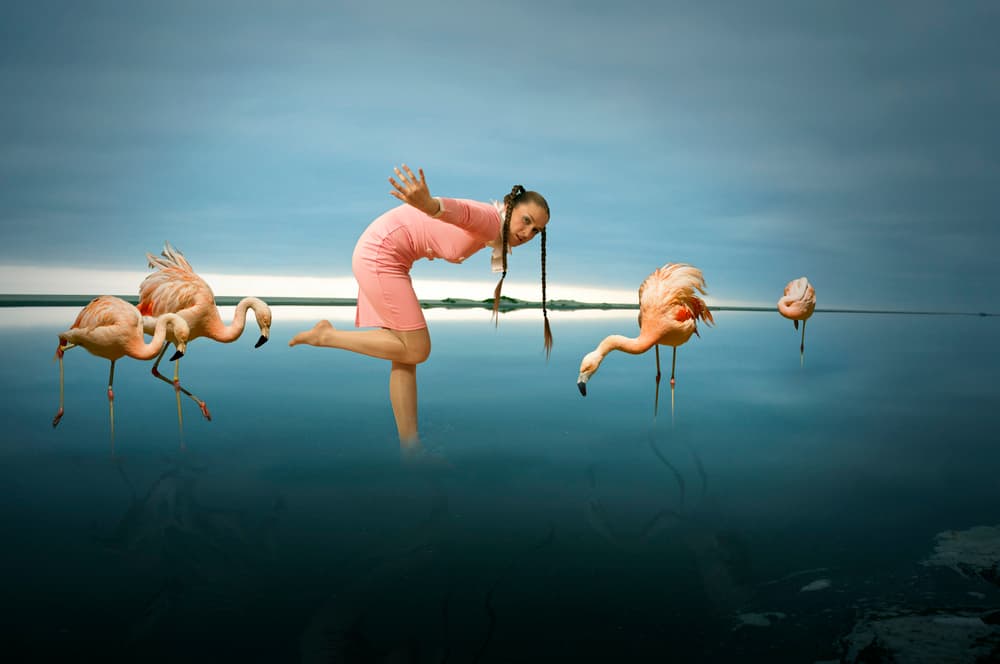 Woman Among Flamingos by Christine von Diepenbroek — canvas wall art