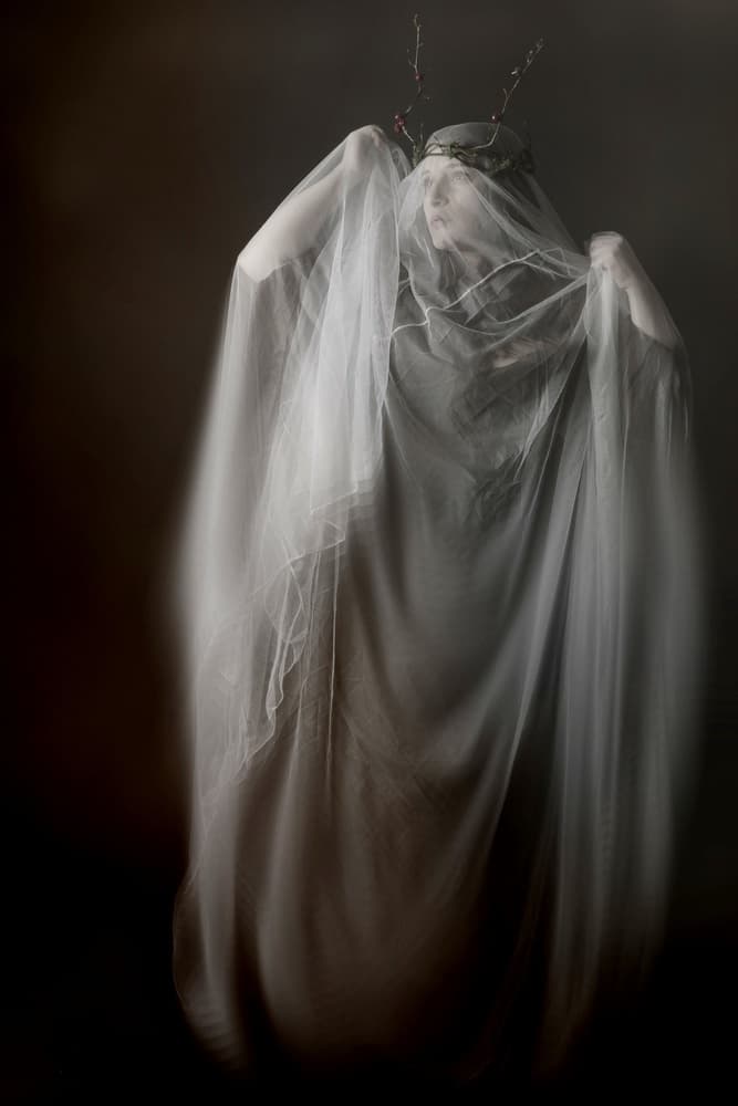 Veiled Queen Portrait by Olga Mest — canvas wall art