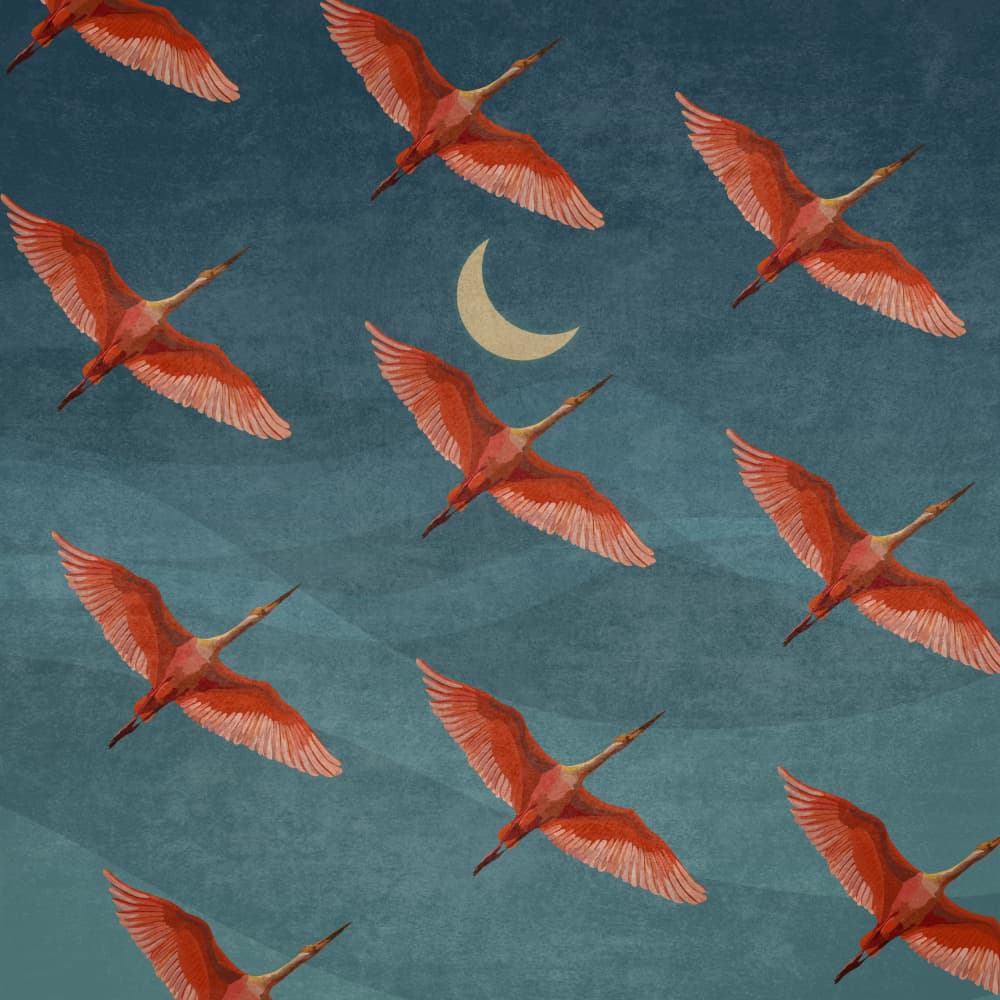 Crimson Flight Nights by Emel Tunaboylu — canvas wall art