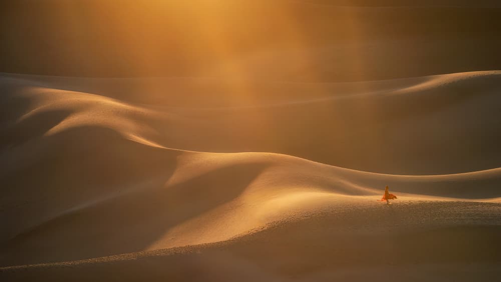 Golden Desert Solitude by Mei Xu — canvas wall art