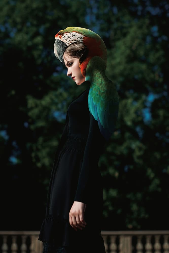 Surreal Parrot Hat Portrait by Martin Lee — canvas wall art