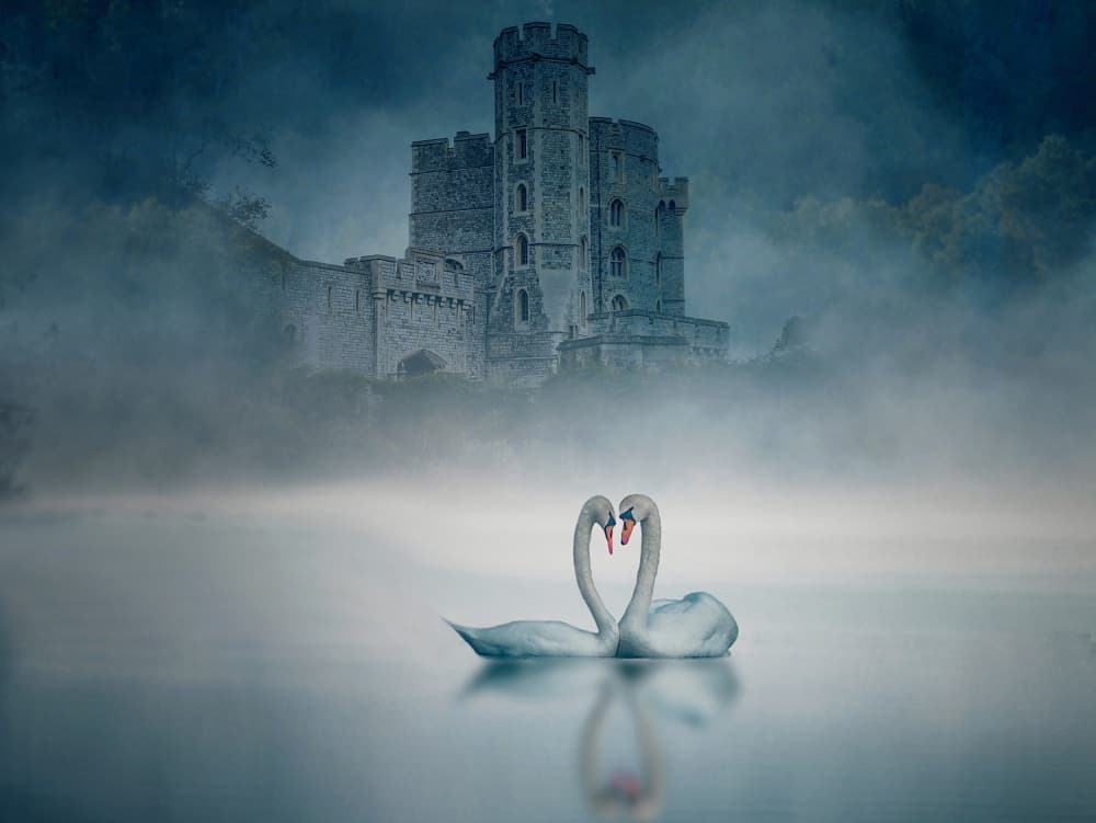 Love Swans Castle by Jiahong Zeng — canvas wall art