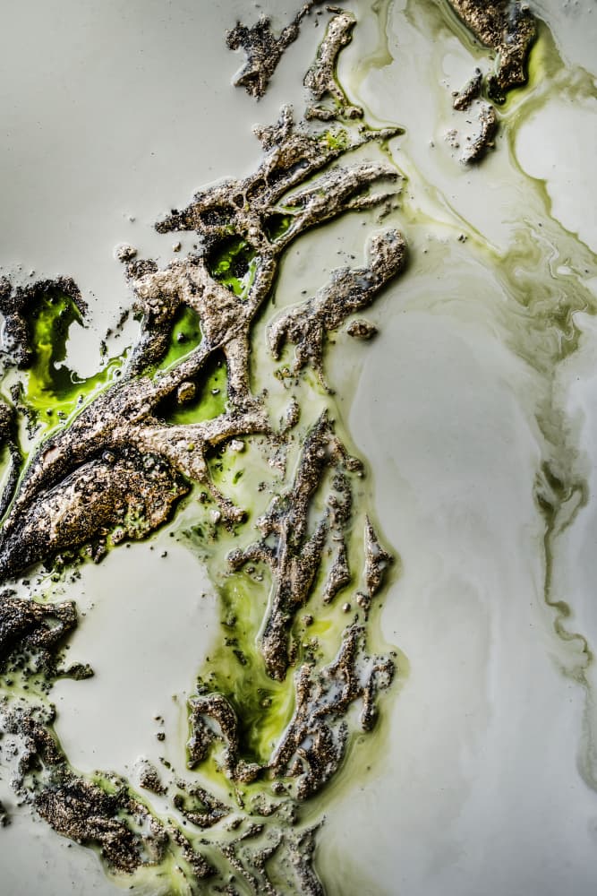 Contemporary Art - Olive Enigma -  Green accent by Petra Meikle de Vlas — canvas wall art