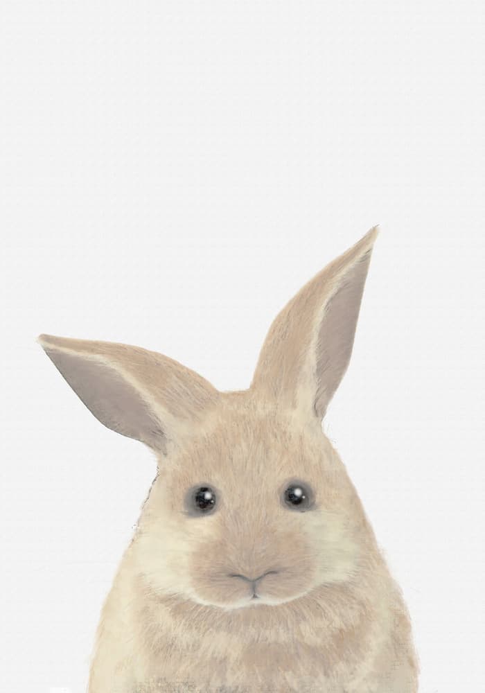 Cute Fluffy Bunny by Pictufy Studio II — canvas wall art