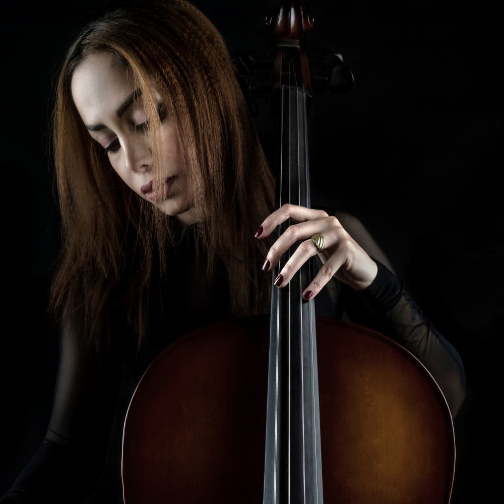 Elegant Cello Player by Abbas Arabzadeh — canvas wall art