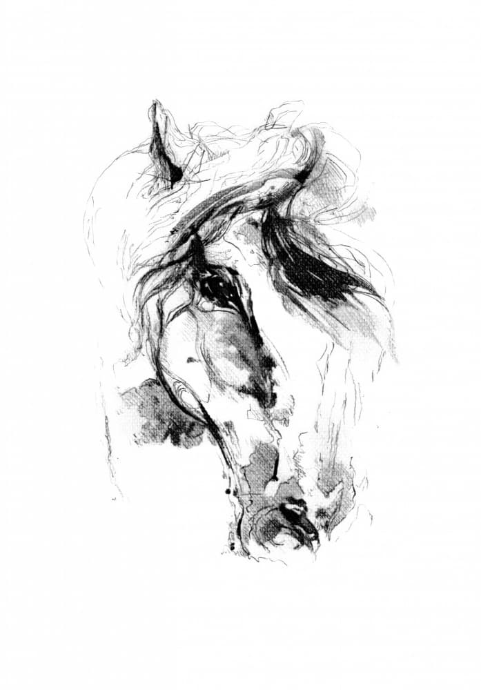 Expressive Horse Sketch by Kulik — canvas wall art