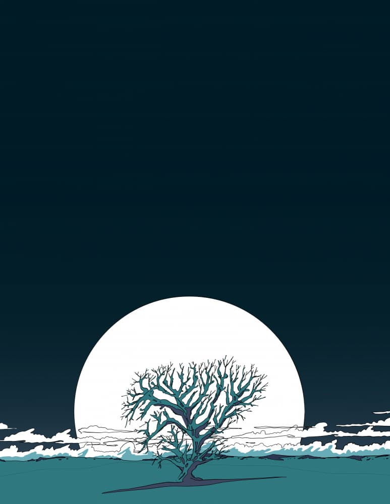 Solitary Moonlit Tree by Nicholas — canvas wall art