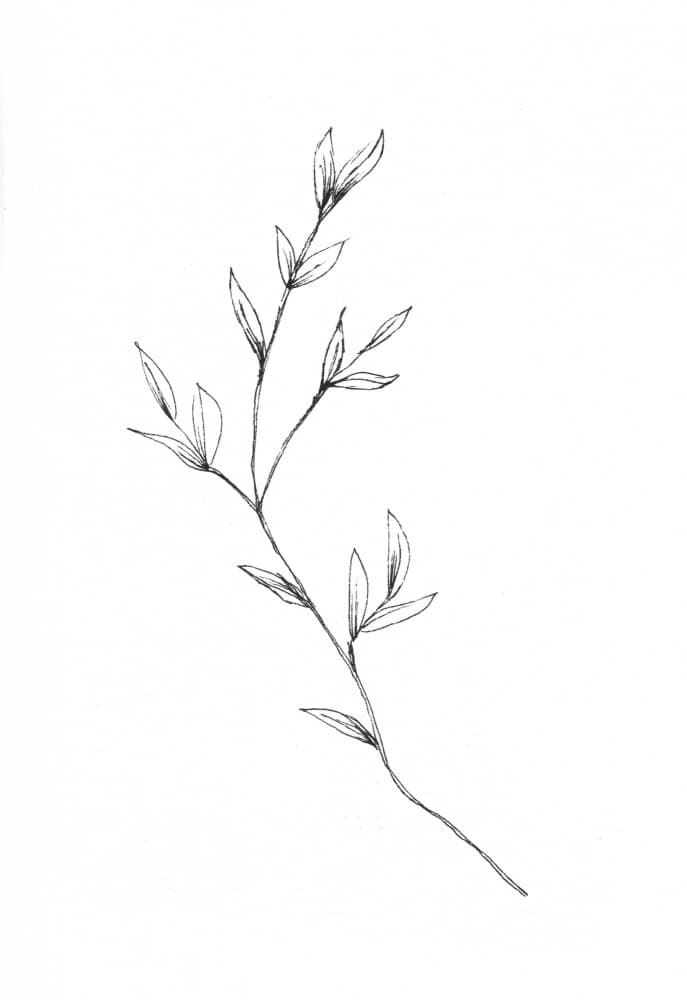 Delicate Leafy Branch by Lor Muller — canvas wall art