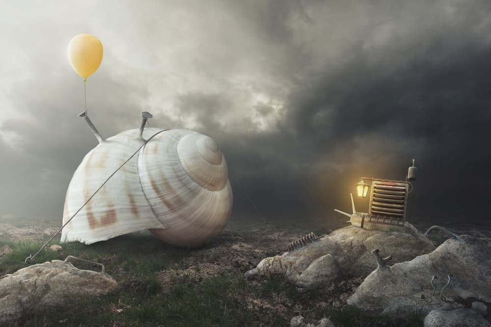 Whimsical Snail Journey by Peter Cakovsky — canvas wall art