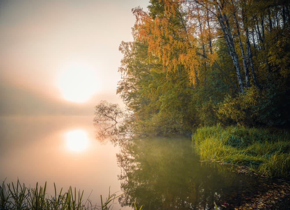 Golden Lake Sunrise by Christian Lindsten — canvas wall art