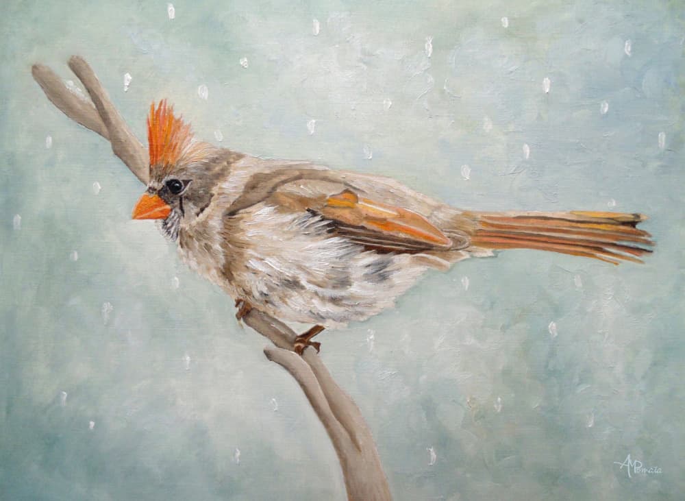 Peaceful Winter Cardinal by Angeles M. Pomata — canvas wall art