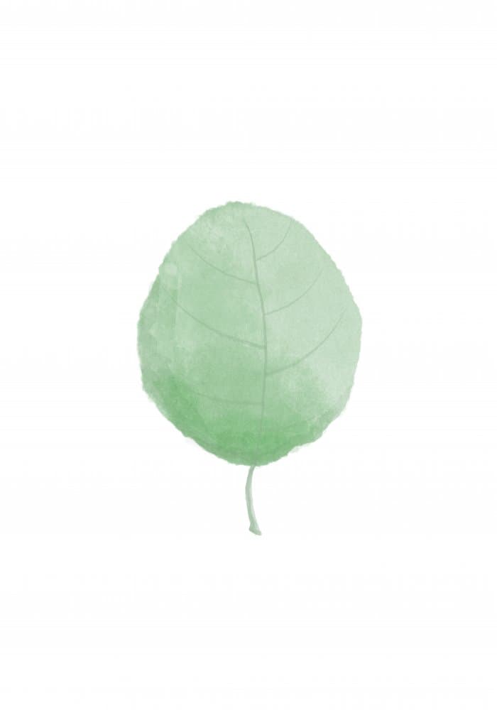Soft Green Leaf by Pictufy Studio II — canvas wall art