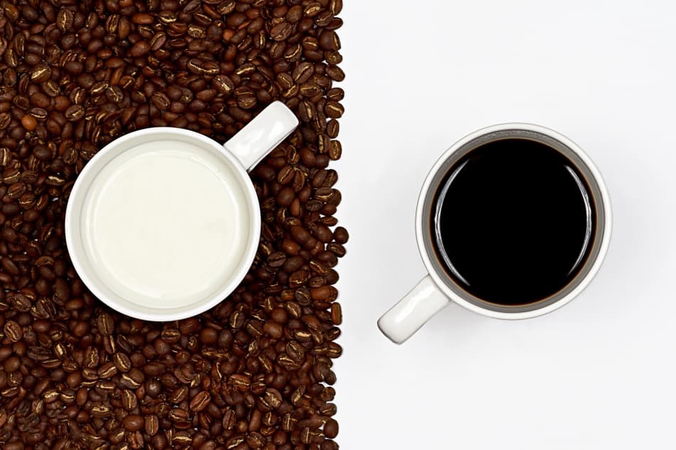 Dark Coffee Light Milk by Gert Lavsen — canvas wall art