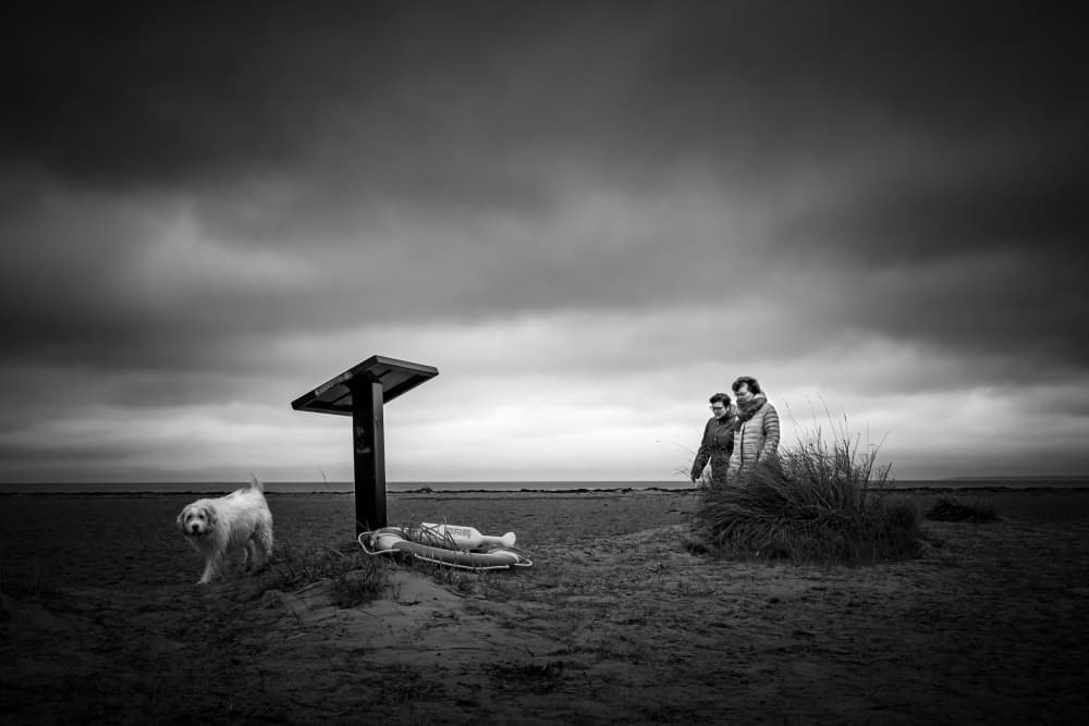 Quiet Beach Dog Walk by Lars Hylleberg — canvas wall art