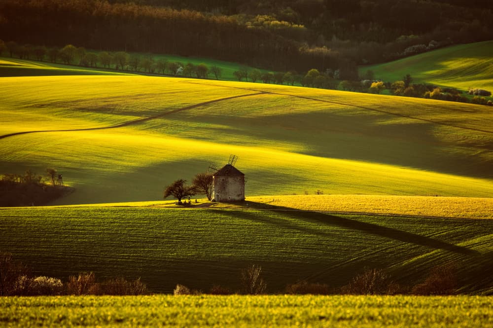 Golden Fields Windmill by Milan Uhrin AFIAP AZSF — canvas wall art