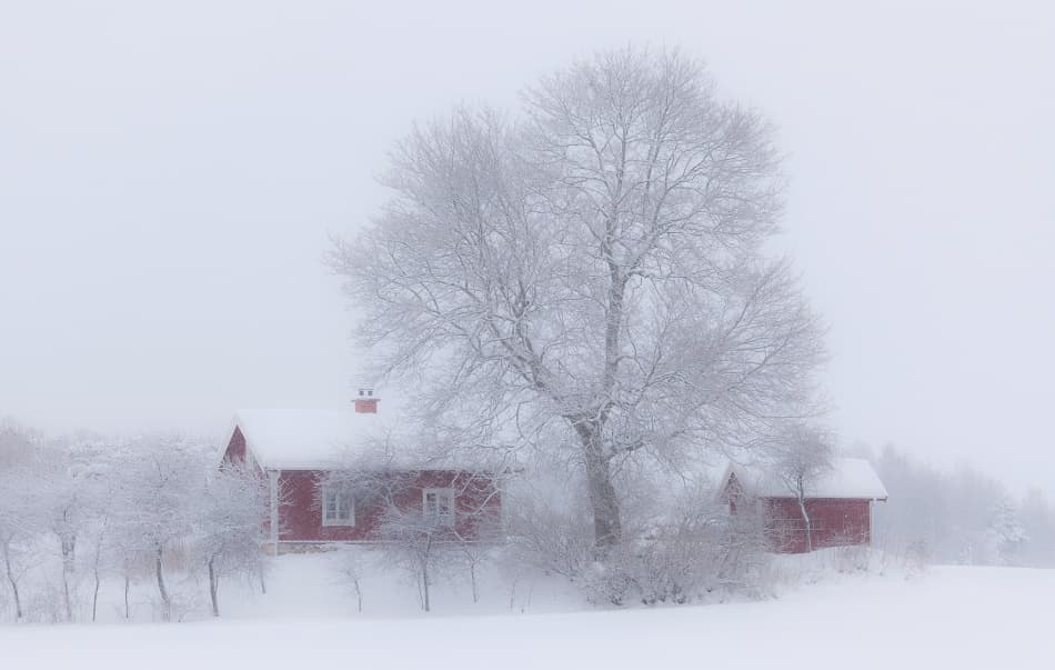Snowy Red House by Allan Wallberg — canvas wall art