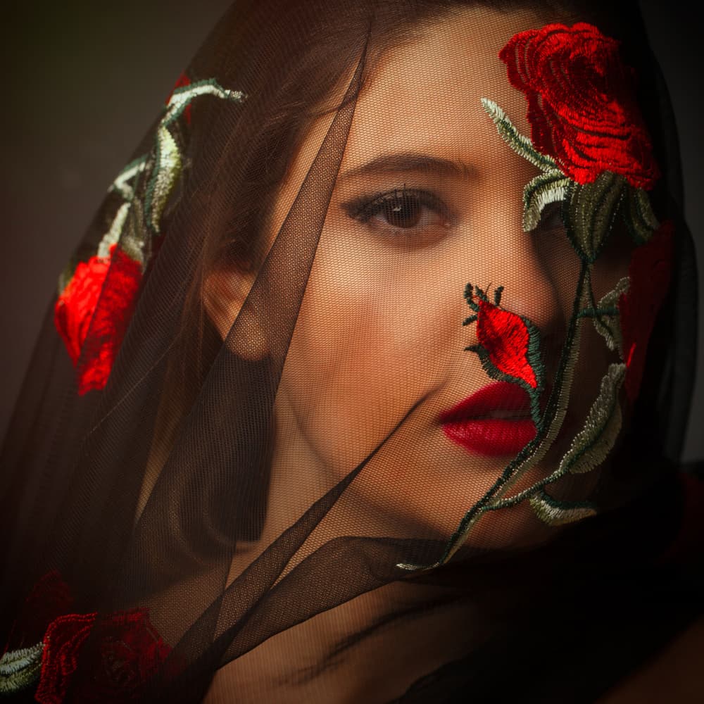 Red Rose Veil Beauty by Mehdi Mokhtari — canvas wall art