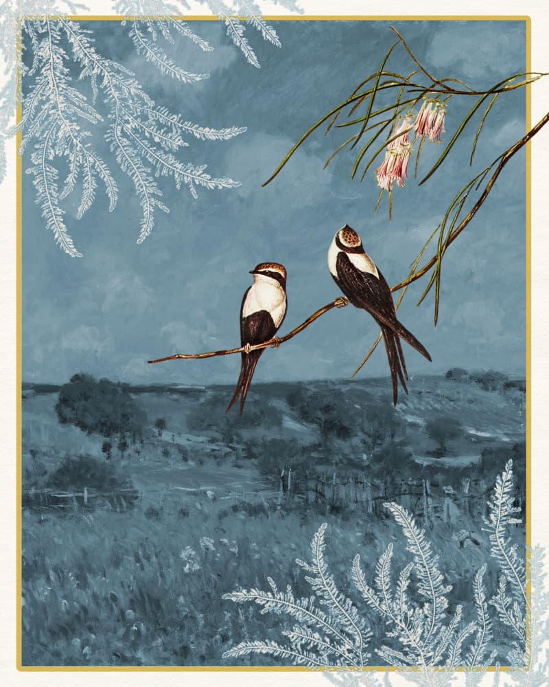 Swallows in Blue Landscape by Wild Violets — canvas wall art