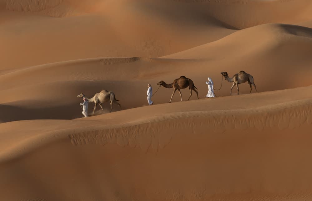 Golden Desert Caravan by Karim Al Thahaby — canvas wall art