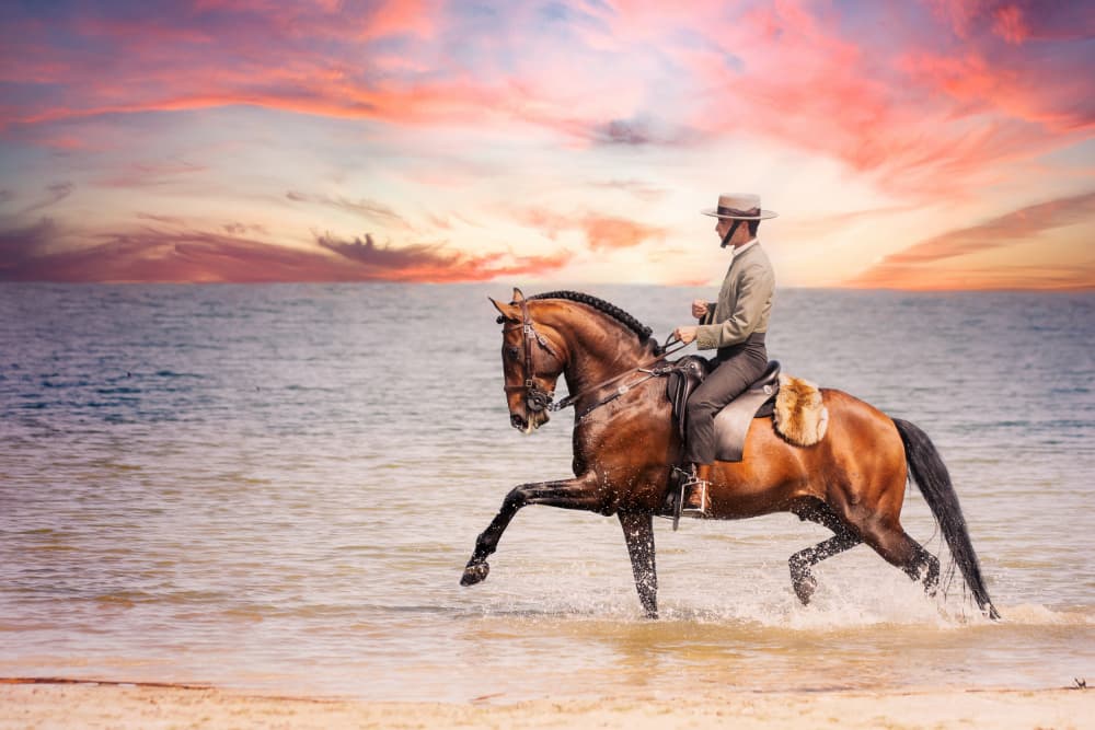 Spanish Horse Beach Sunset by Celine Weerink — canvas wall art