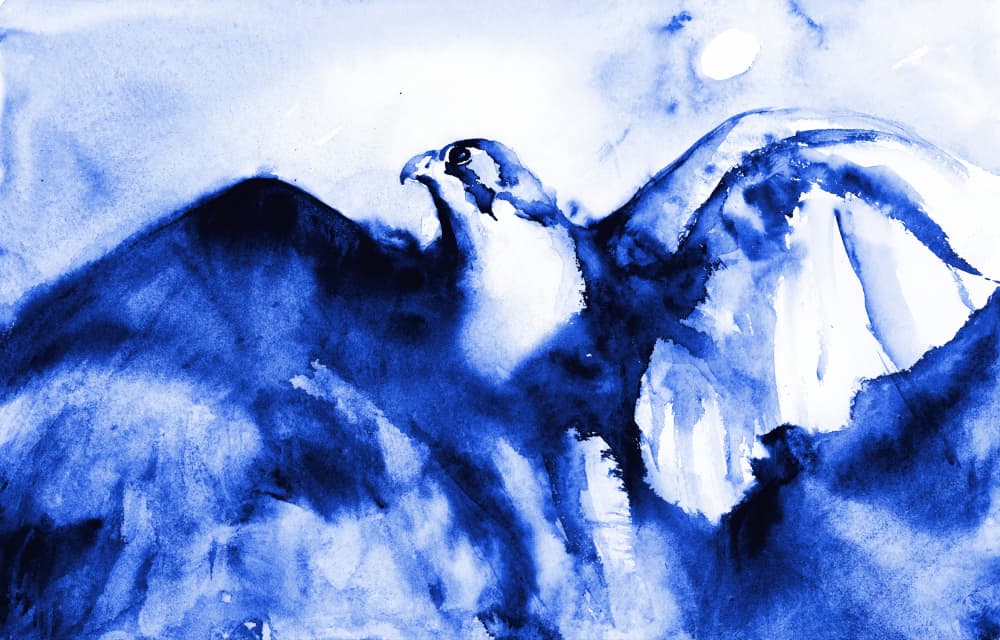 Soaring Blue Falcon by RodMacIver — canvas wall art