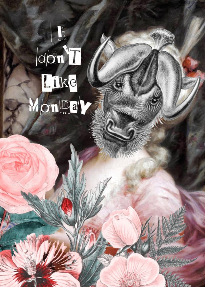 Wildebeest Monday Mood by Justyna Jaszke — canvas wall art