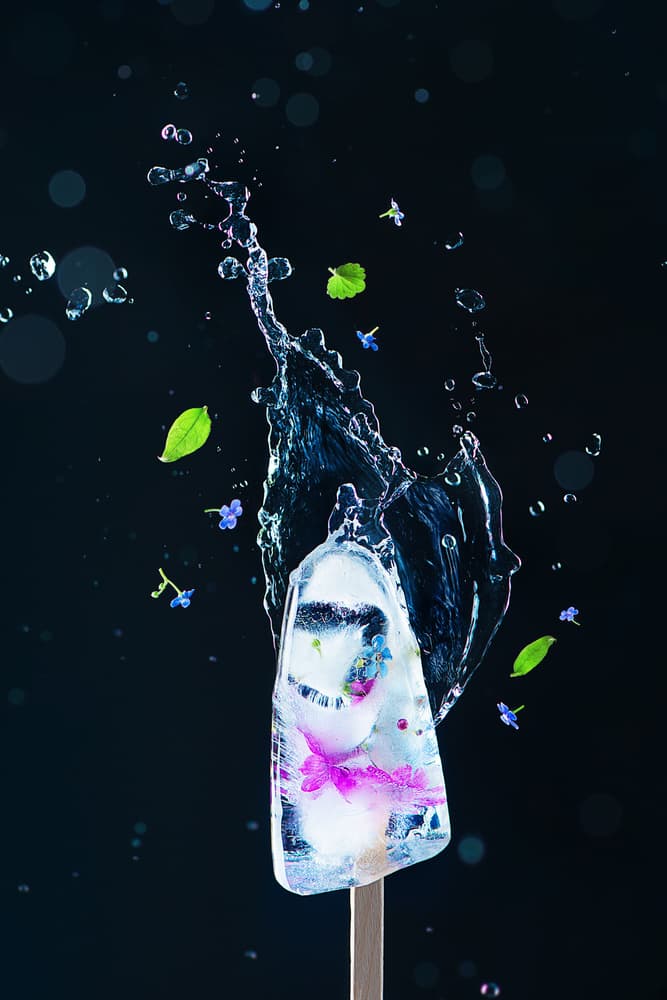 Frozen Floral Splash by Dina Belenko — canvas wall art