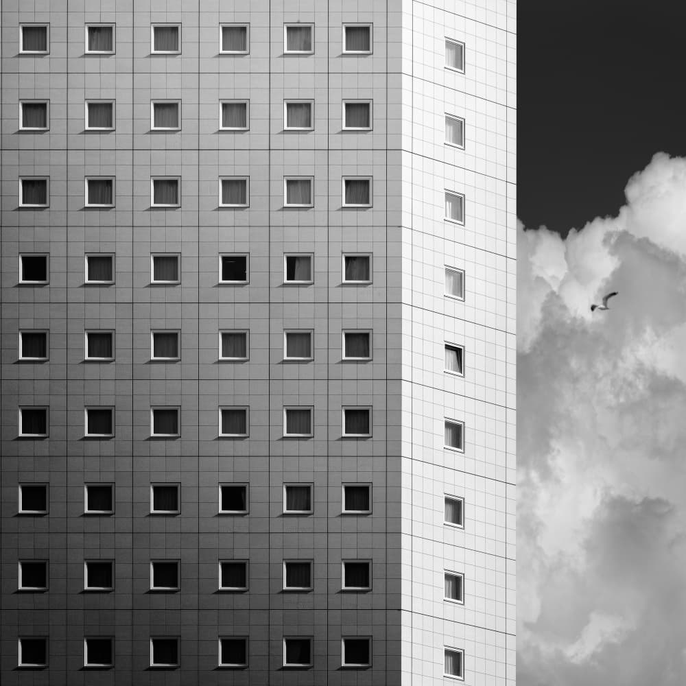Geometric Facade Bird by Dr. Akira TAKAUE — canvas wall art