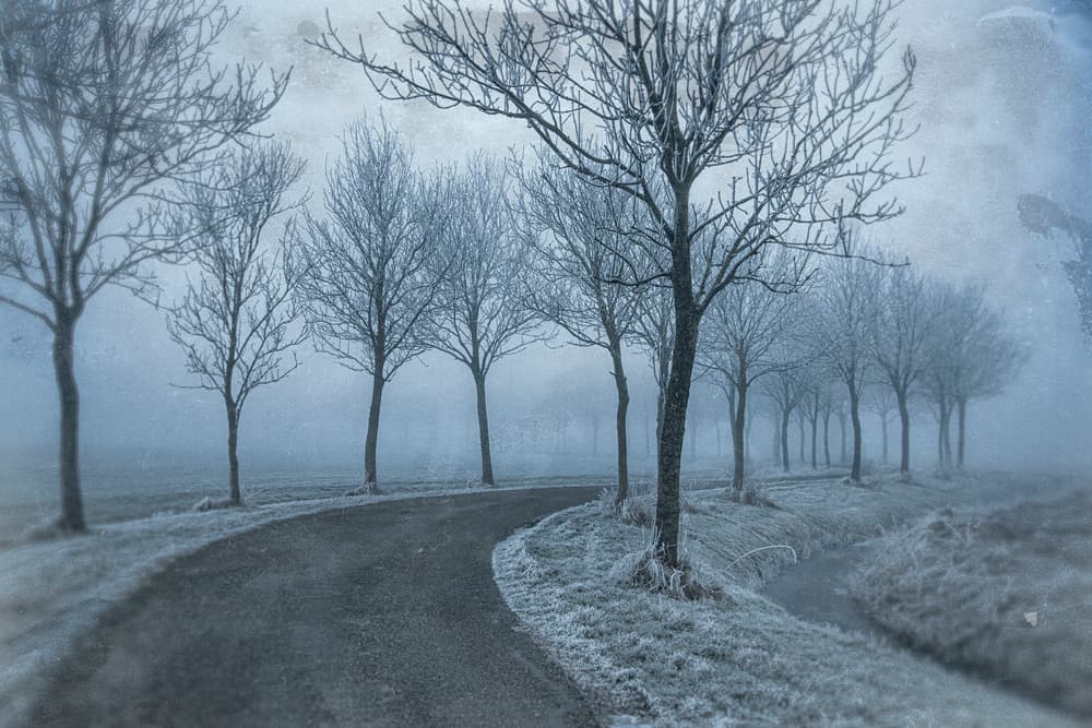 Frosted Winter Road by Jacob Tuinenga — canvas wall art