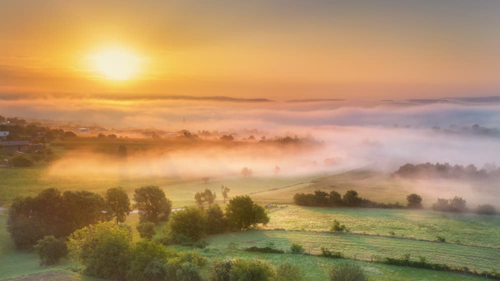 Golden Morning Mist by Burger Jochen — canvas wall art