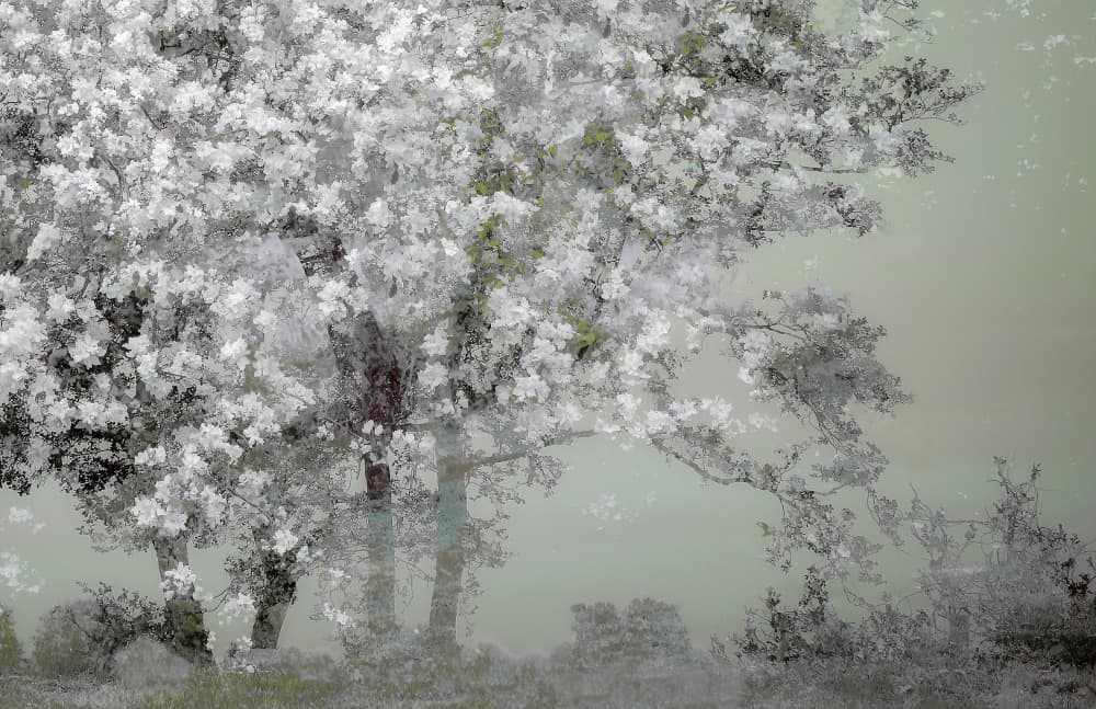 Spring by Nel Talen — canvas wall art