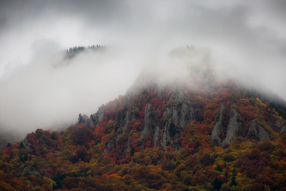 Foggy Autumn Mountain Forest by Chris Vasiliadis — canvas wall art