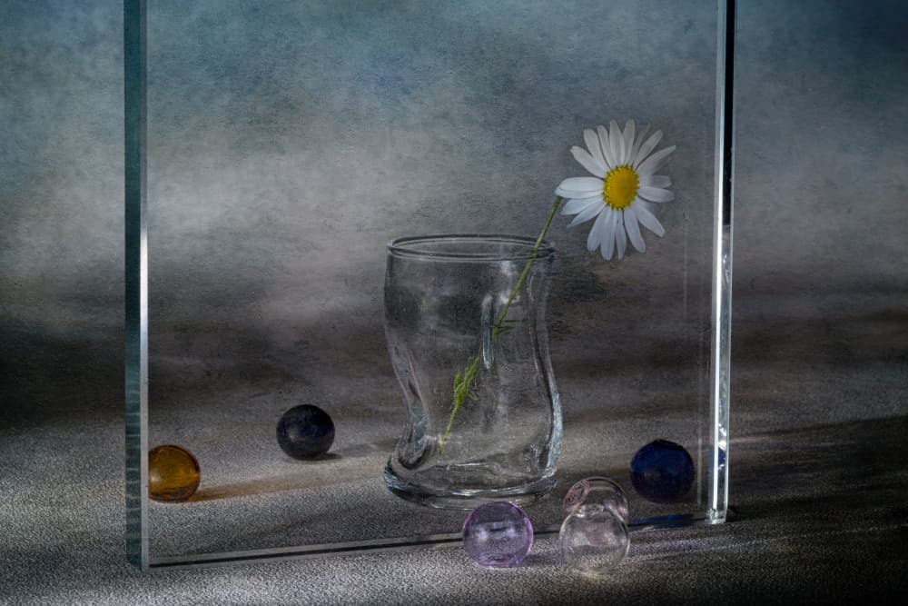 Quiet Daisy Reflections by Igor Kopcev — canvas wall art