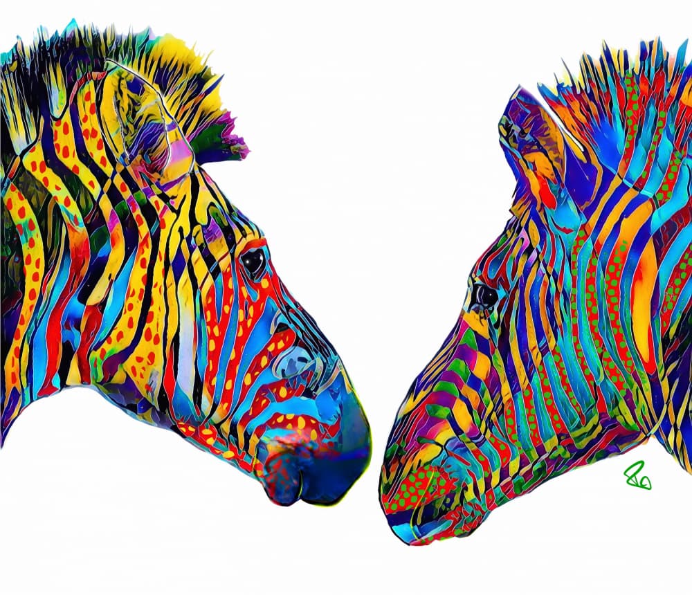 Vibrant Zebra Duo by Ruth Day — canvas wall art