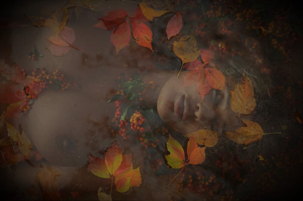 Ethereal Autumn Dream by Cristian Andreescu — canvas wall art