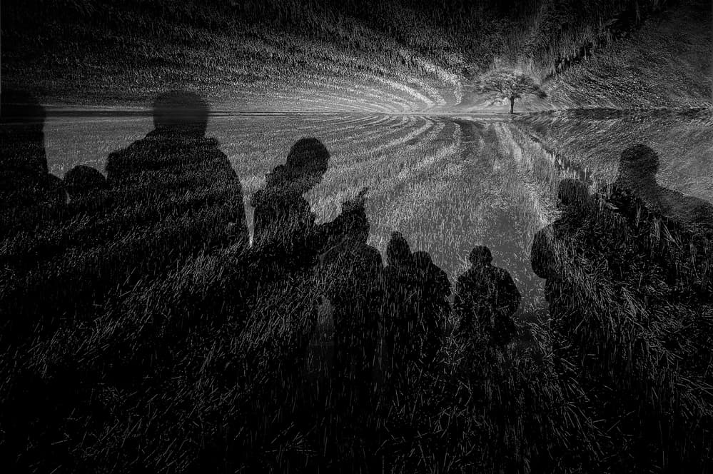 Mysterious Silhouettes Field by Ekkachai Khemkum — canvas wall art
