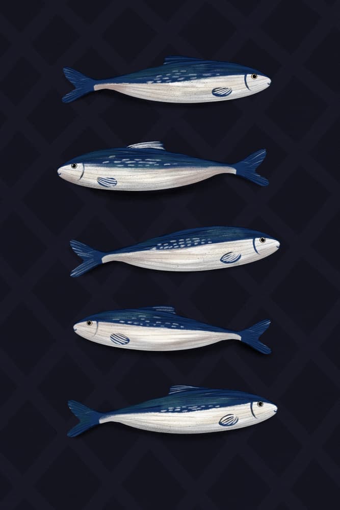 Sardines by EMELIEmaria — canvas wall art