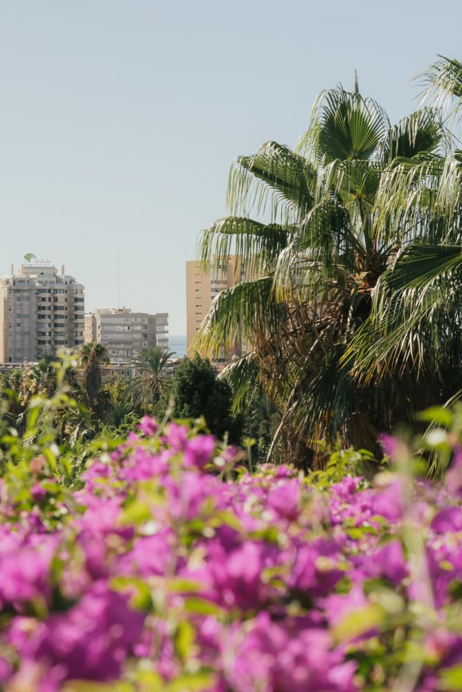 Tropical City Blooms by Aimee Giles — canvas wall art