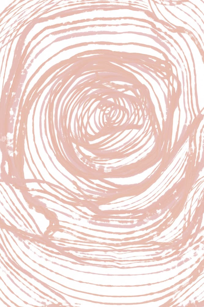 Organic Blush Spirals by Martina — canvas wall art