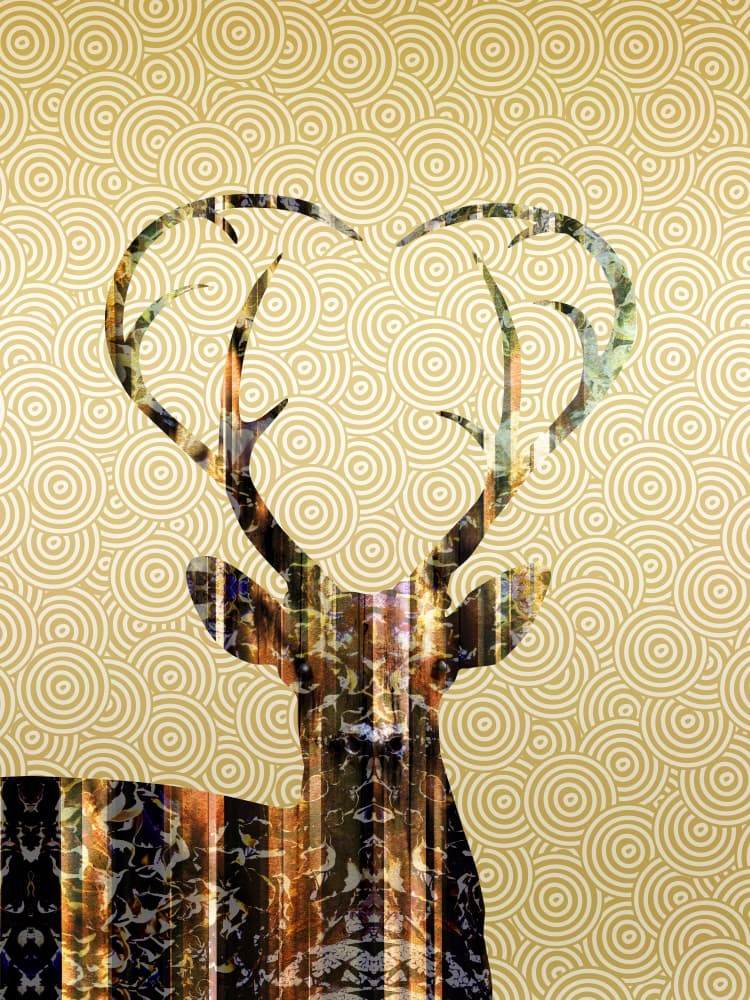 Golden Deer Heart by Angelo Cerantola — canvas wall art