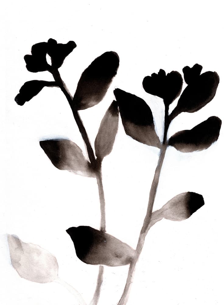 Minimalist Botanical Blooms by Janel Bragg — canvas wall art